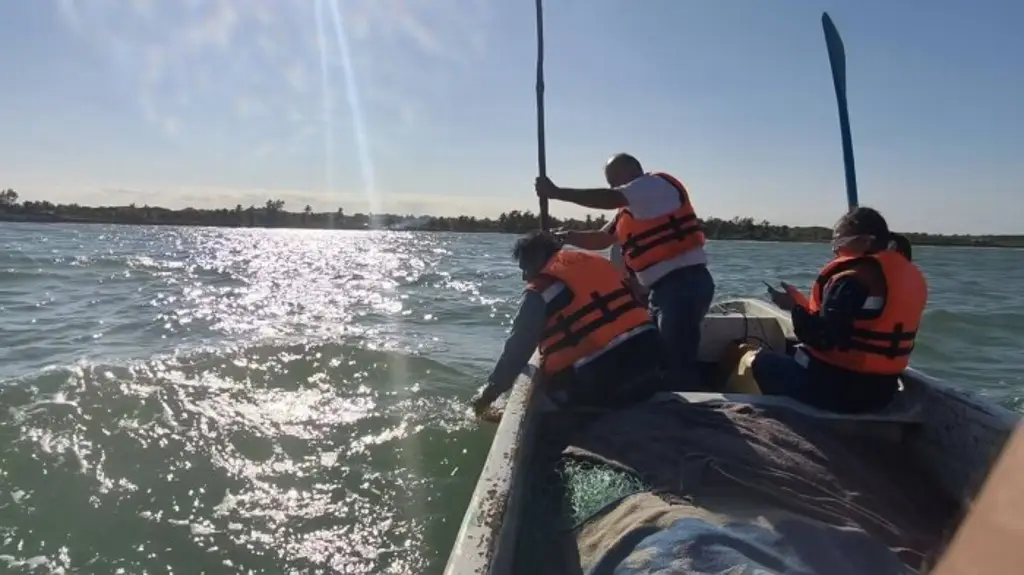 Imagen Investigan irritación de ojos y garganta en Tecolutla y Cazones