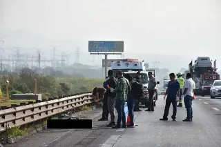 Imagen Camión de carga atropella y mata a ciclista en autopista de Veracruz