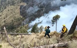 Imagen Incendio afecta más de 80 hectáreas en Parque Nacional Pico de Orizaba