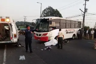 Imagen Trágico accidente en carretera de Veracruz deja un muerto y un lesionado
