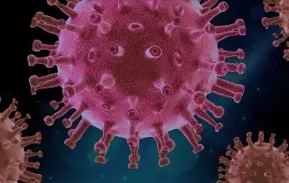 Imagen Complicado lograr vacuna universal contra el coronavirus: Vacunólogo