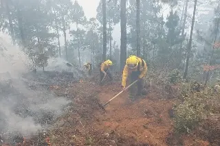 Imagen Se registran 13 incendios forestales en Veracruz, informa PC