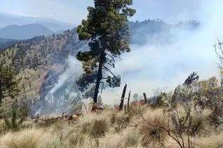 Imagen Pobladores piden a Cuitláhuac García atender incendio de Acajete y Perote