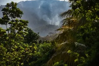 Imagen Continúan activos 11 incendios en Veracruz, informa Sedema