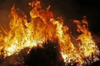 Imagen Reportan 1,528 hectáreas afectadas por incendios forestales en Veracruz