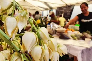 Imagen Concursarán 46 platillos en el Primer Festival de la Flor de Izote