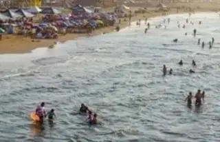 Imagen Reportan presencia de calabazas y lirio en playa de Coatzacoalcos 