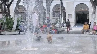 Imagen Hoy índice de calor de 38°C en Veracruz, ¿Podría llover en Carnaval?