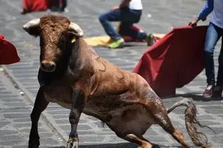 Animalistas exigen que no haya suelta de toros en la Xiqueñada
