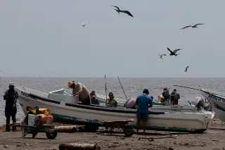 Imagen Entregan apoyo a 4 mil pescadores rezagados del estado de Veracruz 