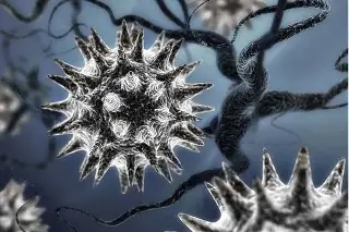 Imagen Detectan 35 casos en humanos de un nuevo virus de origen animal