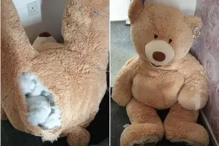 Imagen Ladrón se mete dentro de oso de peluche gigante para no ser descubierto por la policía