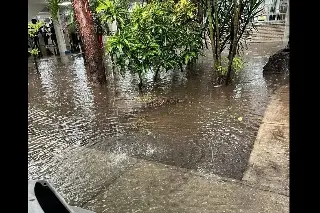 Imagen Inundadas, facultades de la Universidad Veracruzana en Boca del Río  (+Fotos y video)