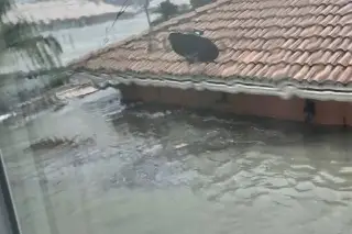 Imagen Así fue arrastrado un reportero de Florida por el huracán 'Ian' durante transmisión (+Video)