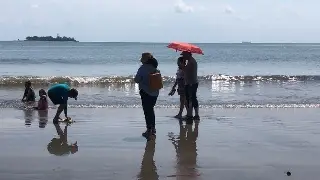 Imagen ¡Quema mucho el sol! Con sombrilla a las playas de Veracruz 