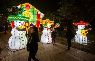 Imagen Inauguran festival de luces navideñas en Monterrey (+Fotos)