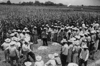 Imagen Cumple 68 años de fundación el Campo Experimental de Cotaxtla
