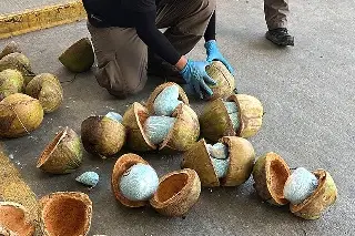Imagen Aseguran 300 kilos de fentanilo en cocos