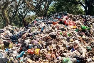 Imagen Veracruz genera 8 millones de toneladas diarias de basura: Sedema
