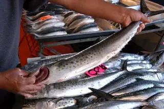 Imagen Frentes fríos incrementan precios del pescado y mariscos en Veracruz