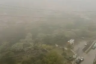 Imagen Se registra lluvia e intensa niebla en Xalapa 