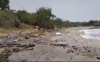 Imagen Hallan sin vida al joven pescador desaparecido en mar de Veracruz 