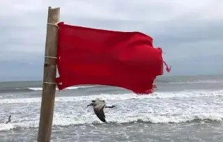 Imagen Colocan bandera roja en playas de Veracruz debido al evento de norte 
