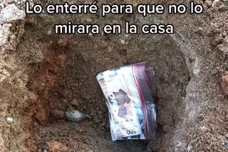 Imagen Hombre entierra dinero para ahorrarlo y se le pudre