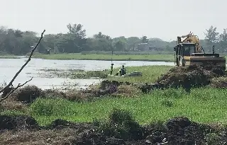 Imagen Apenas se acerca al 40% la remediación de Laguna Lagartos en Veracruz: PMA