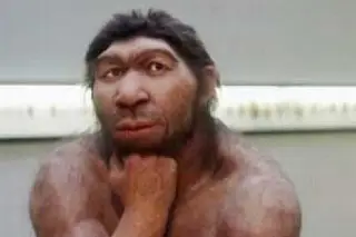 Imagen Reconstruyen el cráneo de un neandertal de hace 150.000 años