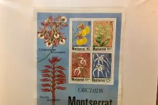 Imagen Inauguran exposición de timbres de varios países en Veracruz