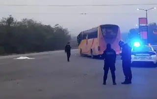 Imagen Conductor se baja del autobús para suicidarse en plena carretera 