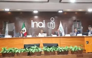 Imagen Con el Inai inoperable, gana el Ejecutivo Federal: Senadora de MC 