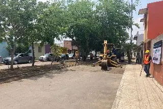 Imagen Pavimentación en El Coyol, Veracruz beneficiará a 3,500 familias: alcaldesa
