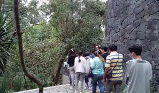 Imagen Cultura Comunitaria conmemora el Día Mundial del Medio Ambiente con diversas actividades