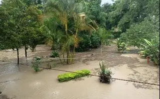 Imagen Tormenta y granizo inundan el centro de Tantoyuca, Veracruz 