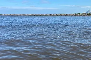 Imagen Detectan peces muertos en playas de Boca del Río
