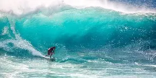 Imagen Tiburón muerde en la cara a un surfista