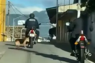 Imagen Exhiben a presunto policía que arrastró con su moto a perro en Jalacingo, Veracruz (+Video)