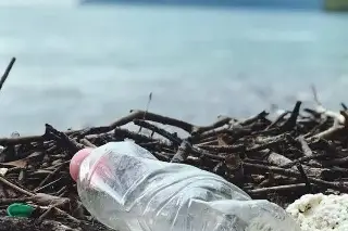 Imagen Botellas de plástico, unicel y bolsas del supermercado, lo que más abunda en el mar