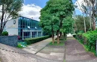 Imagen Suspenden clases en la Facultad de Veterinaria de la UNAM por presunta plaga de chinches
