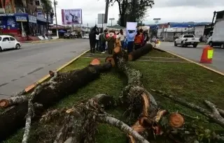 Imagen Con cadena humana, buscan impedir avance de paso vehicular en avenida de Xalapa