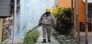 Veracruz rompe récord de dengue: Hay 10 mil casos y 40 defunciones
