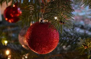 Imagen ¿Cuándo y dónde surge la tradición de poner el árbol de Navidad?