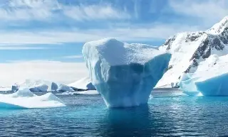 Imagen Estudio revela que plantas empiezan a sustituir al hielo en Groenlandia