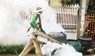Imagen Suman más de 250 casos de dengue en el estado de Veracruz en 2024 
