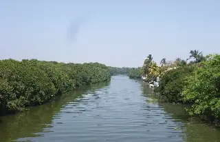 Imagen Así va desapareciendo arroyo Moreno en Boca del Río