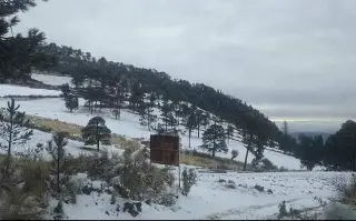 Imagen Tras cuarta nevada, reportan asistencia de más de 300 personas en el Cofre de Perote