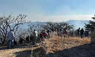 Imagen Incendio afecta 30 hectáreas de zona arqueológica de Monte Albán