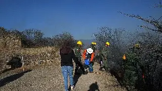 Imagen Incendio no afectó a zona arqueológica de Monte Albán